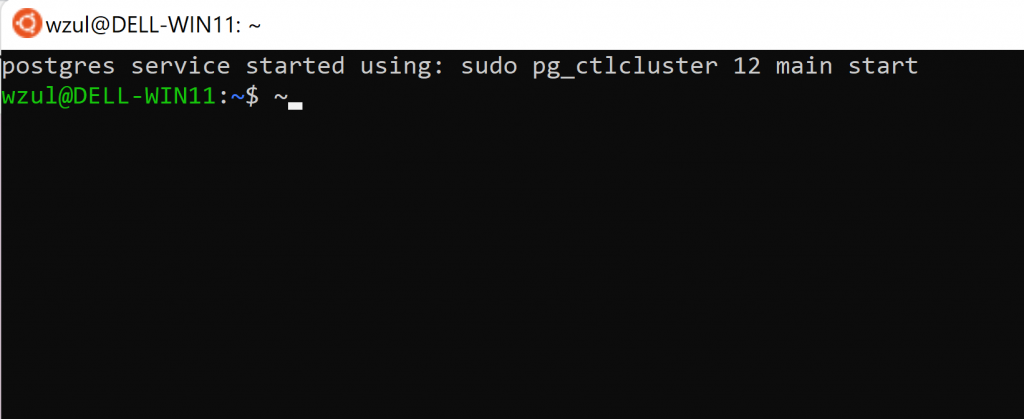 WSL 2 Terminal showing a message of postgresql service has been started